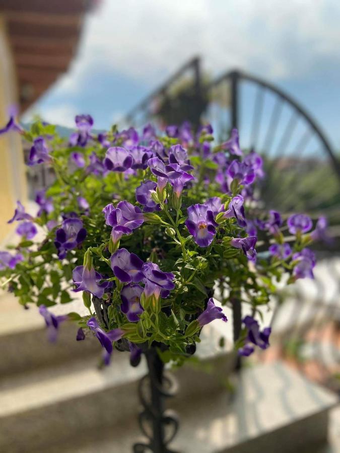 Agriturismo Rocca Dei Marchesi Sabbio Chiese Zewnętrze zdjęcie
